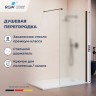 Душевая перегородка RGW WA-210B (351021010-24)  