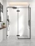 Душевая дверь распашная Veconi Premium Alassio B, 1400х2000, черный матовый, стекло прозрачное осветленное
