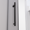 Душевая дверь распашная Veconi Premium Alassio B, 1400х2000, черный матовый, стекло прозрачное осветленное