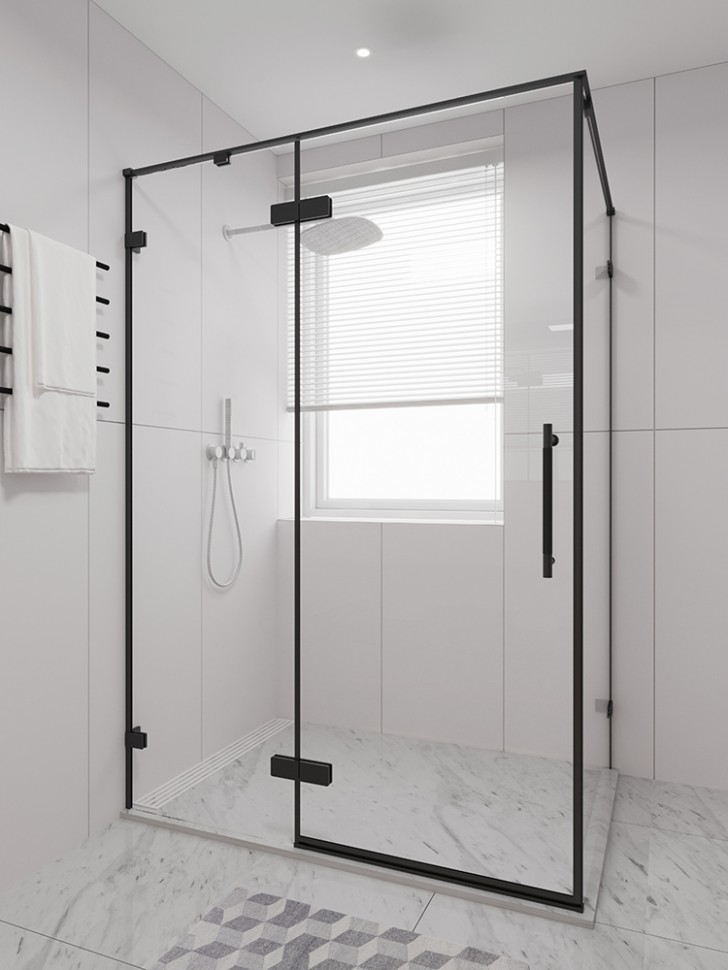Душевая дверь распашная Veconi Premium Alassio B, 1400х2000, черный матовый, стекло прозрачное осветленное