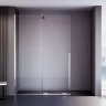 Душевая перегородка Veconi Premium Trento PTDW-50CH, 1000x2000, хром, стекло прозрачное