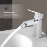 Смеситель Splenka для биде S01.50 Хром