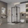 Душевое ограждение Niagara Nova NG-83-8AB-A90B (80х90х195) прямоугольник,черный,дверь распашная,стекло прозрачное,2 места