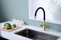 Смеситель для кухни Salix золото, Sa213419-G, Paulmark