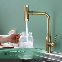 Смеситель Splenka для кухни с мультифункциональным и выдвижным изливом S206.49.03 Золотой сатин