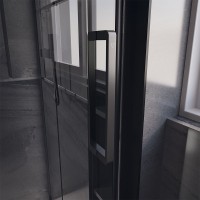 Душевой угол Veconi Premium Trento PTC-SP-40B, 1300х1000x2000, черный матовый, стекло прозрачное