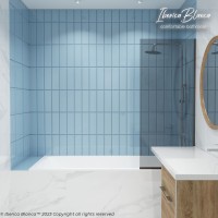 Шторка для ванны IBERICA BLANCA Mod.403 неподвижная тонированное стекло/черный 70х140см (IB403.TB.140.70)