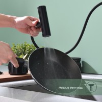 Смеситель Splenka для кухни с мультифункциональным и выдвижным изливом S206.49.06 черный