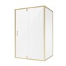 Душевое ограждение Niagara Nova NG-43-12AG-A80G (120х80х195) прямоугольник,золото,двери распашные,стекло прозрачное,2 места