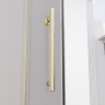 Душевая дверь распашная Veconi Premium Alassio G, 1400х2000, брашированное золото, стекло прозрачное осветленное