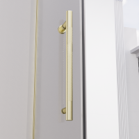 Душевая дверь распашная Veconi Premium Alassio G, 1400х2000, брашированное золото, стекло прозрачное осветленное