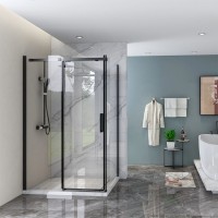 Боковая панель Veconi KP-06B, 900х1950 черный, стекло прозрачное New