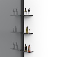 Душевая перегородка Walk-In VSW-1HWS100CGB, 1000*2000, черный матовый, стекло тонированное