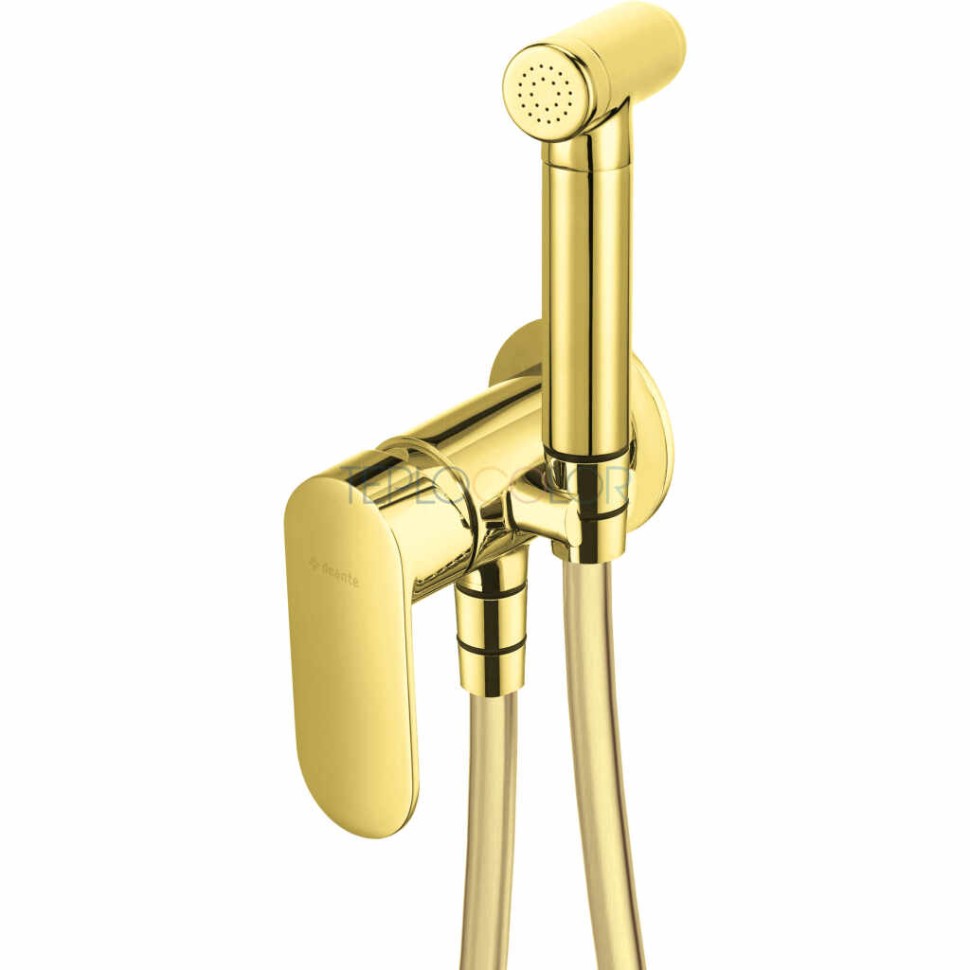 Смеситель для биде, скрытого монтажа, с лейкой типа бидетта