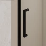 Душевая дверь RGW SV-001B (Прозрачное, 1300мм)  