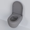 Унитаз Abner 103T20301R (545*360*330) МАТОВЫЙ СЕРЫЙ подвесной БЕЗОБОДКОВЫЙ, 1 место