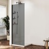 Душевая перегородка Walk-In VSW-1HWS120CGB, 1200*2000, черный матовый, стекло тонированное