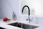 Смеситель для кухни Salix, хром, Sa213419-CR, Paulmark