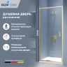 Душевая дверь RGW SV-05-2Gb 800 (703205208-16)  