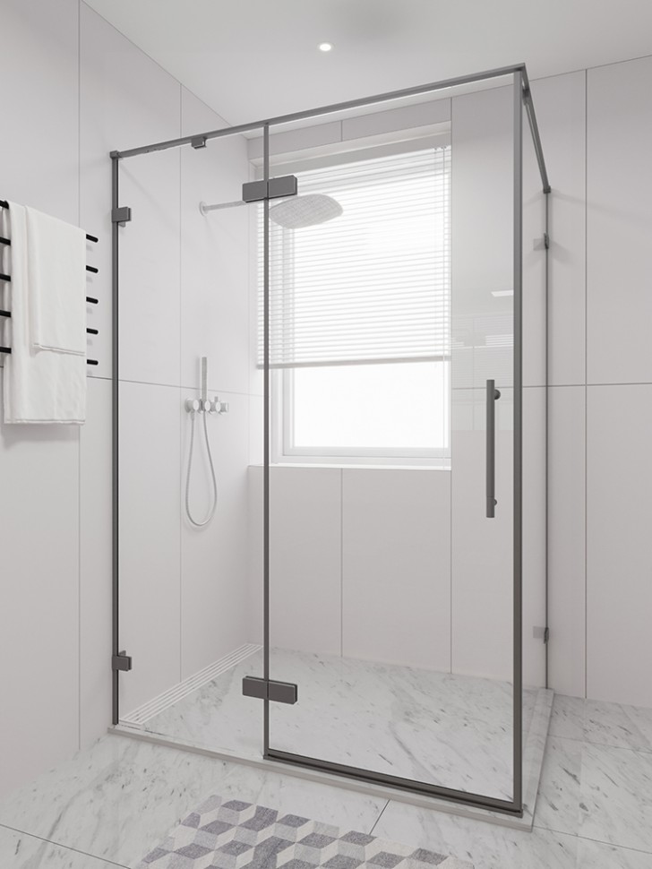 Душевая дверь распашная Veconi Premium Alassio GR, 1400х2000, брашированный графит, стекло прозрачное осветленное