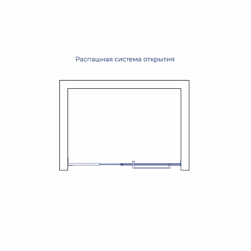 Душевая дверь RGW SV-006Gr (Прозрачное, 900мм)  