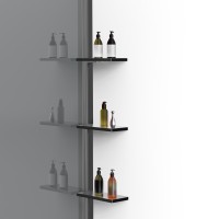 Душевая перегородка Walk-In VSW-1HWS100CGGM, 1000*2000, вороненая сталь, стекло тонированное