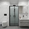 Дверь в нишу Niagara Eco NG-651-9AB (90х190) черный,стекло прозрачное,1 место