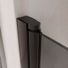 Душевая дверь RGW PA-03B NEW 900