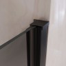 Душевая дверь RGW PA-03B NEW 900