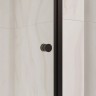 Душевая дверь RGW PA-03B NEW 900 (54080309-14)  