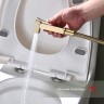 Смеситель Raglo настенный с гигиеническим душем золотой сатин