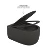Унитаз подвесной BERGES EGO XL, матовый антрацит, микролифт, быстросъёмное