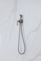 Смеситель ABBER Daheim AF8226NG с гигиеническим душем, никель