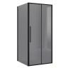 Душевое ограждение Niagara Nova NG-85-11TB-TB100-34 (110х100х195) прямоугольник,черный матовый,дверь раздвижная,стекло тонированное,2 места
