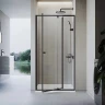 Душевая дверь Veconi Vianno VN-26B, 900x1950, черный, стекло прозрачное  
