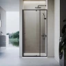 Душевая дверь Veconi Vianno VN-26B, 900x1950, черный, стекло прозрачное  