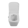 Унитаз подвесной с сиденьем, функцией биде и смесителем BelBagno DUE BB3103CHR-BS/SC