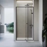 Душевая дверь Veconi Vianno VN-26B, 1100x1950, черный, стекло прозрачное