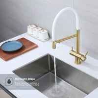 Смеситель Splenka для кухни со съемным гибким изливом, с магнитным фиксатором излива, с подключением фильтра питьевой воды S70.63.03 Золотой сатин