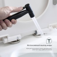 Смеситель Splenka встраиваемый с гигиеническим душем S221.52.06 Черный