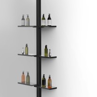 Душевая перегородка Walk-In VSW-1HWS100MRB, 1000*2000, черный, стекло зеркальное