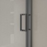 Душевая дверь City VDS-5CT120CLGM, 1200, вороненая сталь, стекло прозрачное