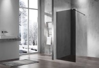 Душевая перегородка Walk-In VSW-1H120CGGM, 1200*2000, вороненая сталь, стекло тонированное