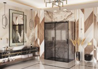 Душевое ограждение Ambassador Benefit 19022201HBB-100HBB (120х100х200) прямоугольник,черный,стекло тонированное,раздвижная,2 места