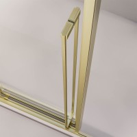 Душевая дверь раздвижная Premium Prato 300 G-R, 1000х2000, золото брашированный, стекло прозрачное