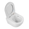Унитаз подвесной безободковый с сиденьем CEZARES RELAX CZR-38088-49-TH-TOR/SC