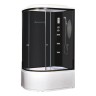 Душевая кабина Niagara Ultra NG-214-01RN (120х80х220) высокий поддон(48см),черный,стекло тонированное,4 места