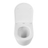 Унитаз подвесной безободковый с сиденьем CEZARES RELAX CZR-3806-53-TH-TOR/SC