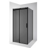 Душевое ограждение Ambassador Benefit 19022201HBB-110HBB (120х110х200) прямоугольник,черный,стекло тонированное,раздвижная,2 места