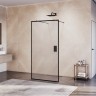 Душевая перегородка RGW WA-017B (1200)